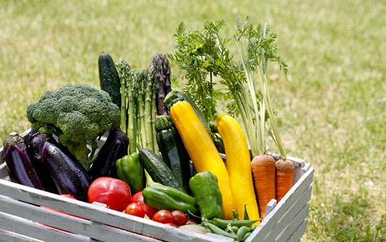 Comment conserver vos fruits et légumes de saison plus longtemps